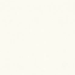 Vliestapete MEISTERVLIES 2020 - weiß - 21 Meter