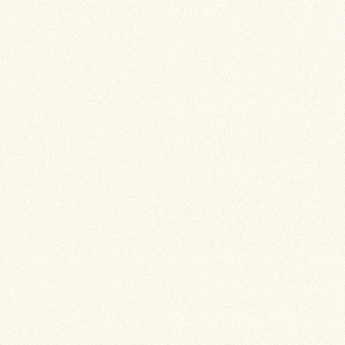 Vliestapete MEISTERVLIES 2020 - weiß - 21 Meter 2 Vliestapete MEISTERVLIES 2020 - weiß - 21 Meter – Bild 2