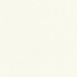 Vliestapete MEISTERVLIES 2020 - weiß - 21 Meter