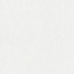 Vliestapete MEISTERVLIES 2020 - weiß - 10 Meter