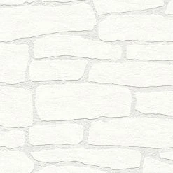 Vliestapete MEISTERVLIES 2020 - überstreichbar-weiß - 10 Meter