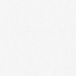 Vliestapete MEISTERVLIES 2020 - weiß - 10 Meter -Baumarkt Verkaufsgeschäft 9004602800 04 1600Wx1600H