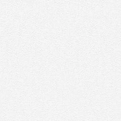 Vliestapete MEISTERVLIES 2020 - weiß - 10 Meter -Baumarkt Verkaufsgeschäft 9004604700 04 1600Wx1600H