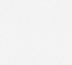 Vliestapete MEISTERVLIES 2020 - weiß - 10 Meter