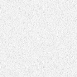 Vliestapete MEISTERVLIES 2020 - weiß - 25 Meter -Baumarkt Verkaufsgeschäft 9004605000 04 1600Wx1600H