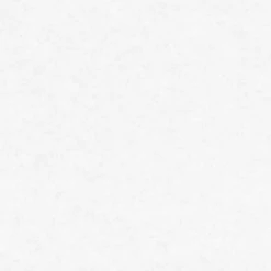 Vliestapete MEISTERVLIES 2020 - weiß - 25 Meter -Baumarkt Verkaufsgeschäft 9004605200 04 1600Wx1600H