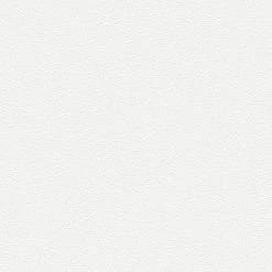 Vliestapete MEISTERVLIES 2020 - weiß - 10 Meter -Baumarkt Verkaufsgeschäft 9004605400 04 1600Wx1600H