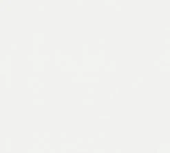 Vliestapete MEISTERVLIES 2020 - weiß - 10 Meter