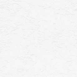 Vliestapete UNI - weiß - 10 Meter -Baumarkt Verkaufsgeschäft 9004605800 04 1600Wx1600H