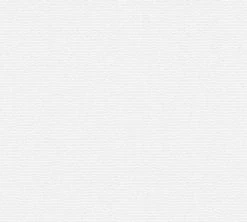 Vliestapete MEISTERVLIES 2020 - weiß - 10 Meter