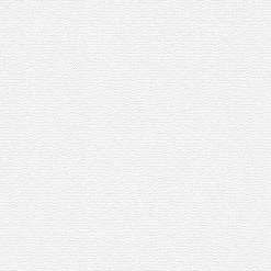 Vliestapete MEISTERVLIES 2020 - weiß - 25 Meter