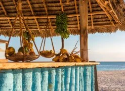 Fototapete DESIGNWALLS - braun-blau - Strand - 2,55 Meter