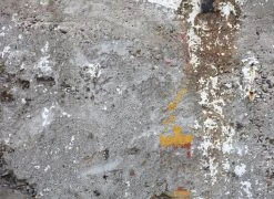 Fototapete DESIGNWALLS - grau-gelb - Beton - 2,55 Meter