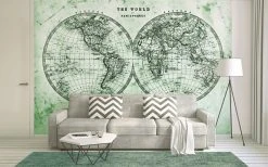 Fototapete DESIGNWALLS - grün-grau - Weltkarte - 2,55 Meter -Baumarkt Verkaufsgeschäft 9004629400 03 1600Wx1600H