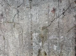 Fototapete DESIGNWALLS - grau-schwarz - Beton - 2,55 Meter