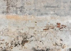 Fototapete DESIGNWALLS - grau-braun - Beton - 2,55 Meter