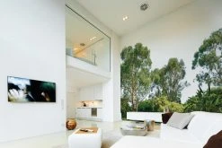 Fototapete DESIGNWALLS - grün-weiß - Wald - 2,55 Meter -Baumarkt Verkaufsgeschäft 9004635700 03 1600Wx1600H