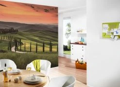 Fototapete DESIGNWALLS - grün-orange - Landschaft - 2,55 Meter -Baumarkt Verkaufsgeschäft 9004636700 03 1600Wx1600H