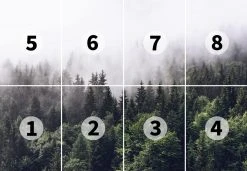 Fototapete DESIGNWALLS 2.0 - grün-weiß - Wald - 2,5 Meter -Baumarkt Verkaufsgeschäft 9004638300 03 1600Wx1600H