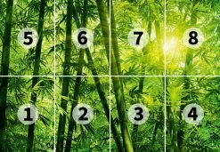 Fototapete DESIGNWALLS 2.0 - grün - Bambus - 2,5 Meter -Baumarkt Verkaufsgeschäft 9004639100 03 1600Wx1600H