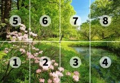 Fototapete DESIGNWALLS 2.0 - grün-rosa - See - 2,5 Meter -Baumarkt Verkaufsgeschäft 9004639200 03 1600Wx1600H