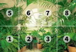 Fototapete DESIGNWALLS 2.0 - grün-weiß - Fensterblick - 2,5 Meter -Baumarkt Verkaufsgeschäft 9004639300 03 1600Wx1600H