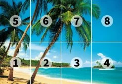 Fototapete DESIGNWALLS 2.0 - türkis-beige - Palmen - 2,5 Meter -Baumarkt Verkaufsgeschäft 9004639600 03 1600Wx1600H