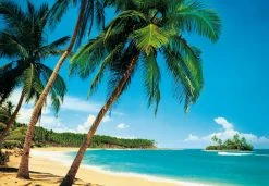 Fototapete DESIGNWALLS 2.0 - türkis-beige - Palmen - 2,5 Meter