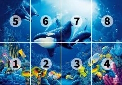 Fototapete DESIGNWALLS 2.0 - blau-gelb - Ozean - 2,5 Meter 5 Fototapete DESIGNWALLS 2.0 - blau-gelb - Ozean - 2,5 Meter -Baumarkt Verkaufsgeschäft 9004640100 03 1600Wx1600H