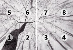 Fototapete DESIGNWALLS 2.0 - grau-weiß - Baum - 2,5 Meter -Baumarkt Verkaufsgeschäft 9004641500 03 1600Wx1600H