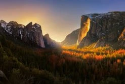 Fototapete DESIGNWALLS 2.0 - gelb-grün - Berge - 2,6 Meter