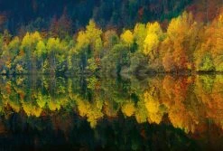 Fototapete DESIGNWALLS 2.0 - gelb-orange - See - 2,6 Meter