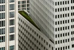 Fototapete DESIGNWALLS 2.0 - grau-weiß - Skyscraper - 2,6 Meter