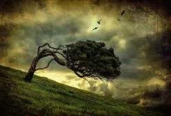 Fototapete DESIGNWALLS 2.0 - grün-gelb - Baum - 2,6 Meter