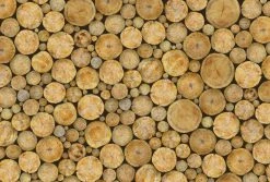 Fototapete DESIGNWALLS 2.0 - braun-beige/creme - Holz - 2,6 Meter