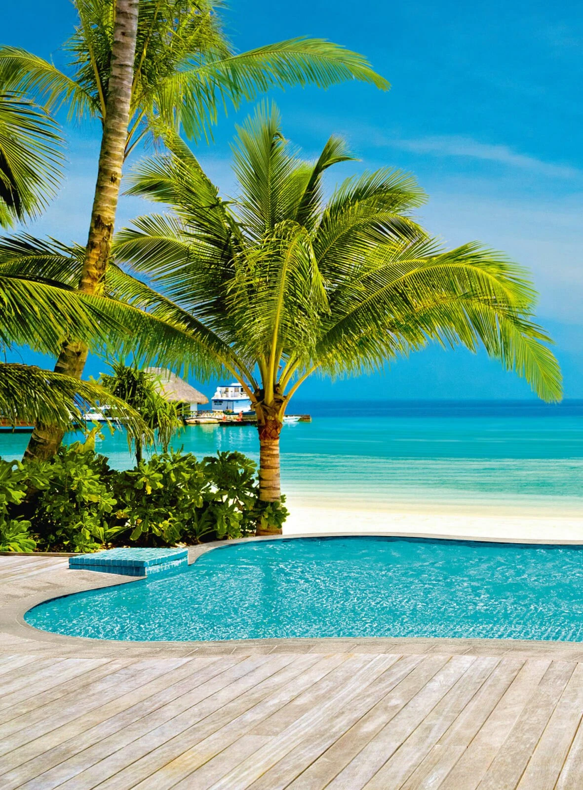 Fototapete DESIGNWALLS 2.0 - türkis-grün - Strand - 2,6 Meter 1 Fototapete DESIGNWALLS 2.0 - türkis-grün - Strand - 2,6 Meter