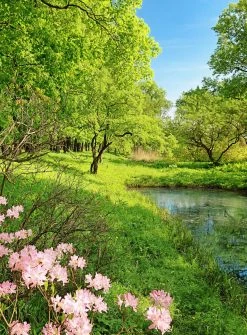 Fototapete DESIGNWALLS 2.0 - rosa-braun - See - 2,6 Meter