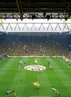Fototapete DESIGNWALLS 2.0 - BVB - gelb-schwarz - 2,6 Meter