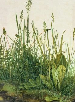 Fototapete DESIGNWALLS 2.0 - grün-beige/creme - Blumenwiese - 2,6 Meter