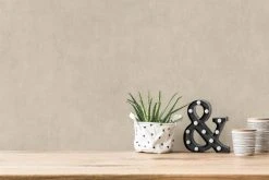 Vliestapete - Uni - beige - 10 Meter -Baumarkt Verkaufsgeschäft 9005192600 03 1600Wx1600H