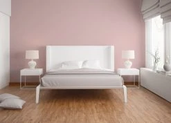 Vliestapete - rosa-lila - Uni - 10 Meter -Baumarkt Verkaufsgeschäft 9005198000 04 1600Wx1600H