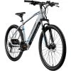 Zündapp Elektro Mountainbike 29" Z808 - silber-blau - 48 cm